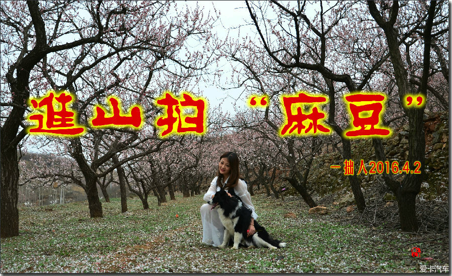 拙人视角：进山拍“麻豆”~