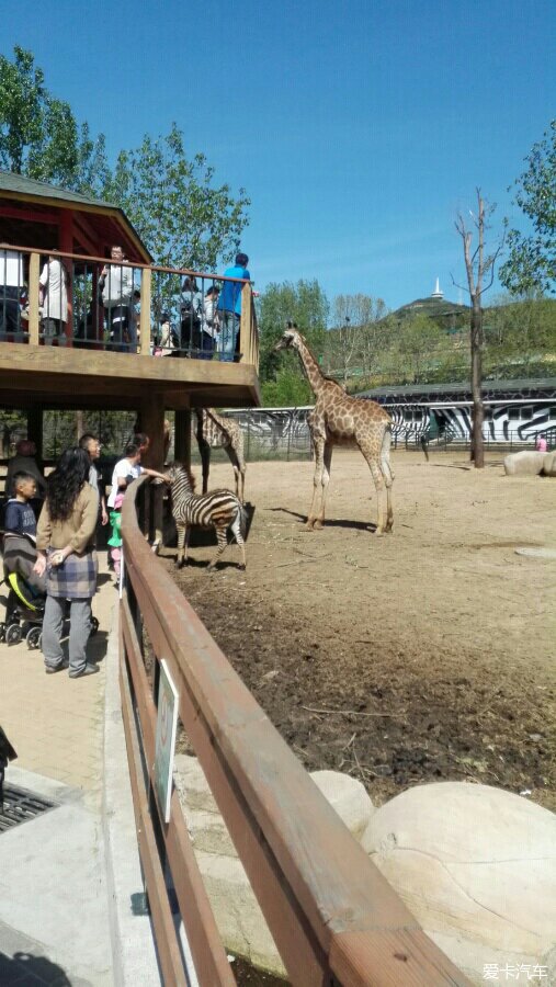 大連森林動物園徒步遊記