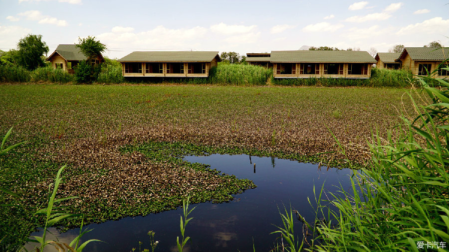 嘉麗澤溼地公園(38/72)