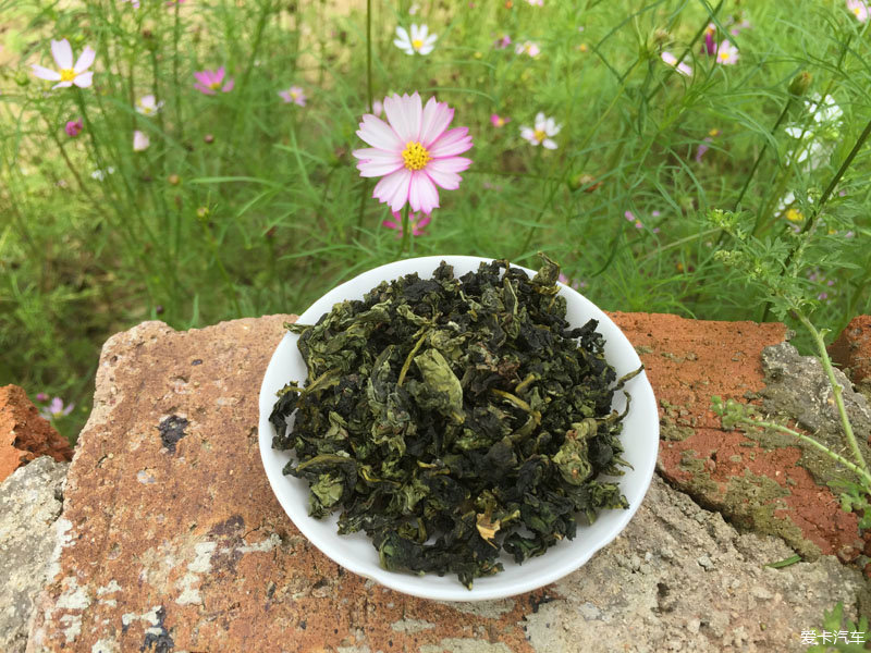 開團啦!2016春茶新茶鐵觀音 高山新樅烏龍茶