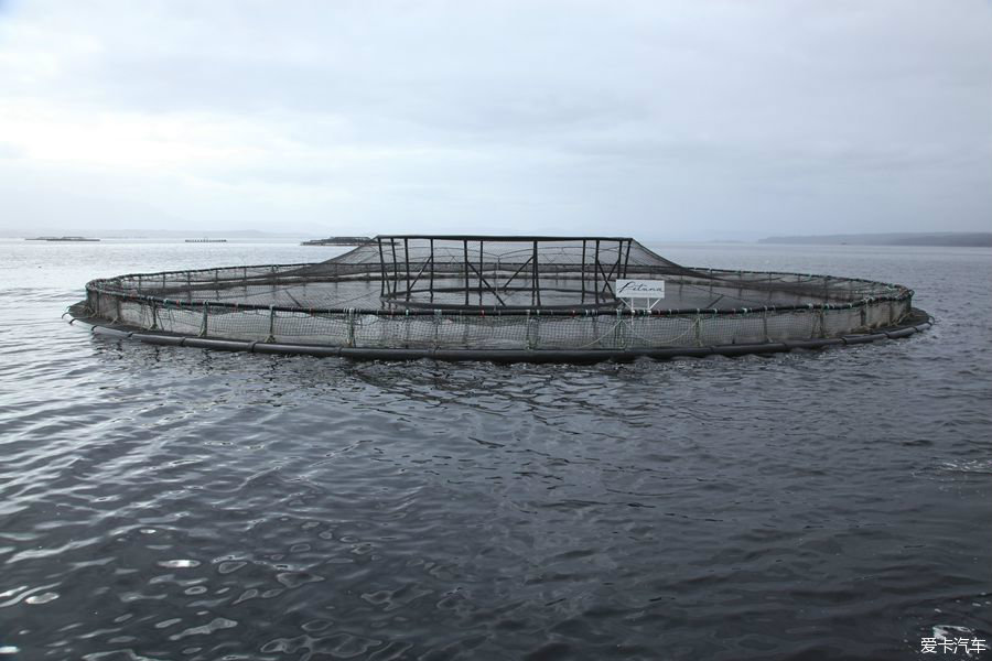 海上養殖場,養殖的海產品銷往澳洲各地及出口.