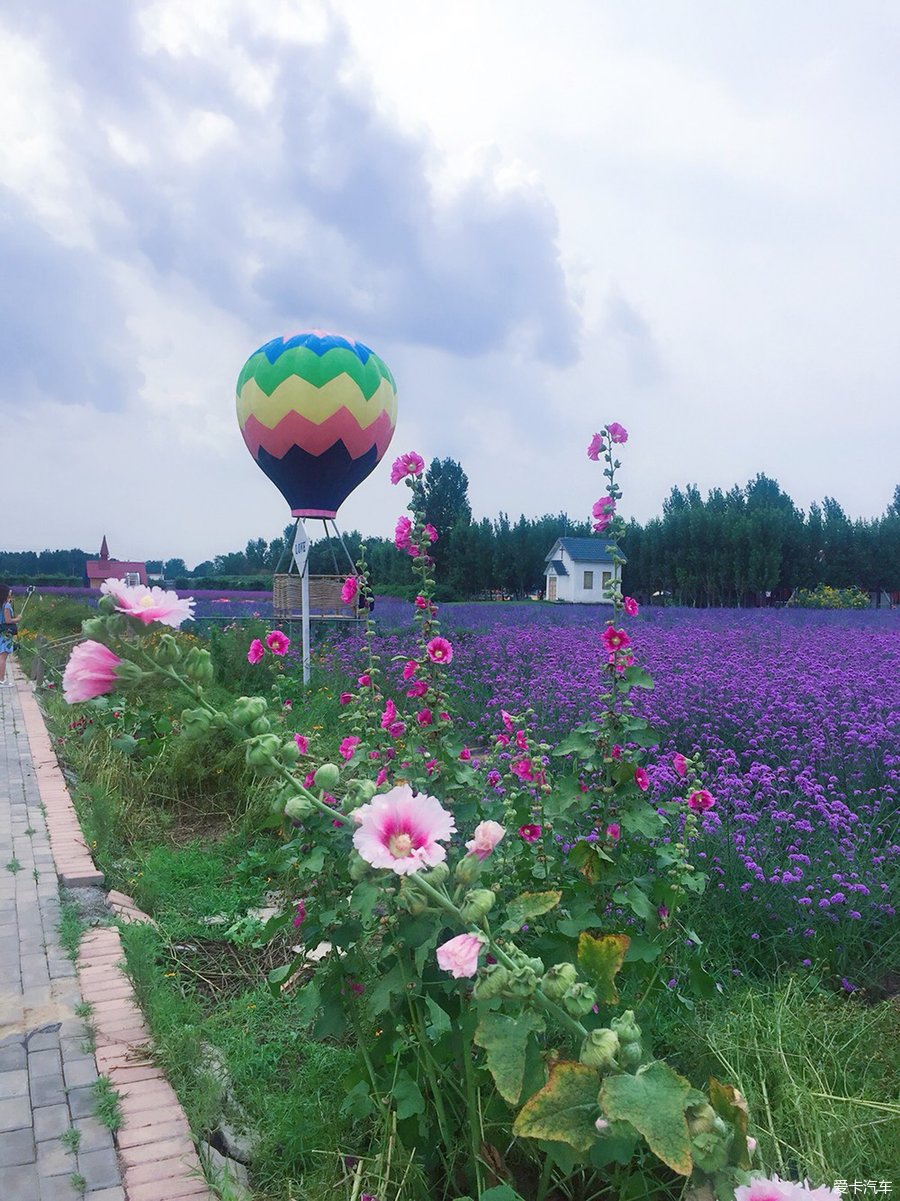 章丘香草园一日游哦