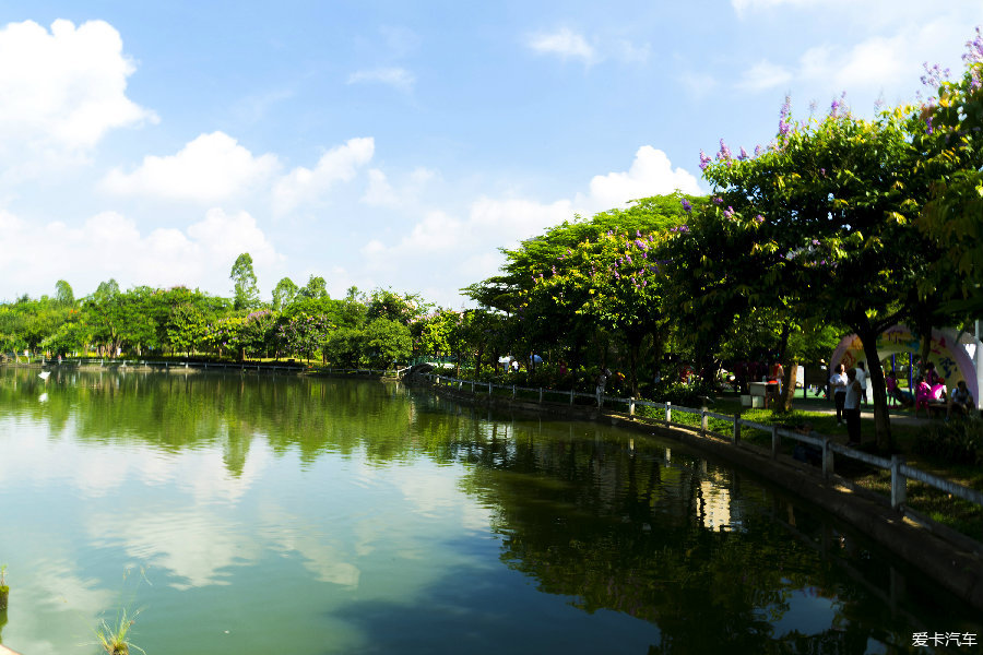 黃埔區中山公園的鳥鳥