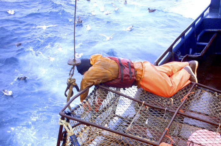 白令海峡捕蟹人纪录片图片