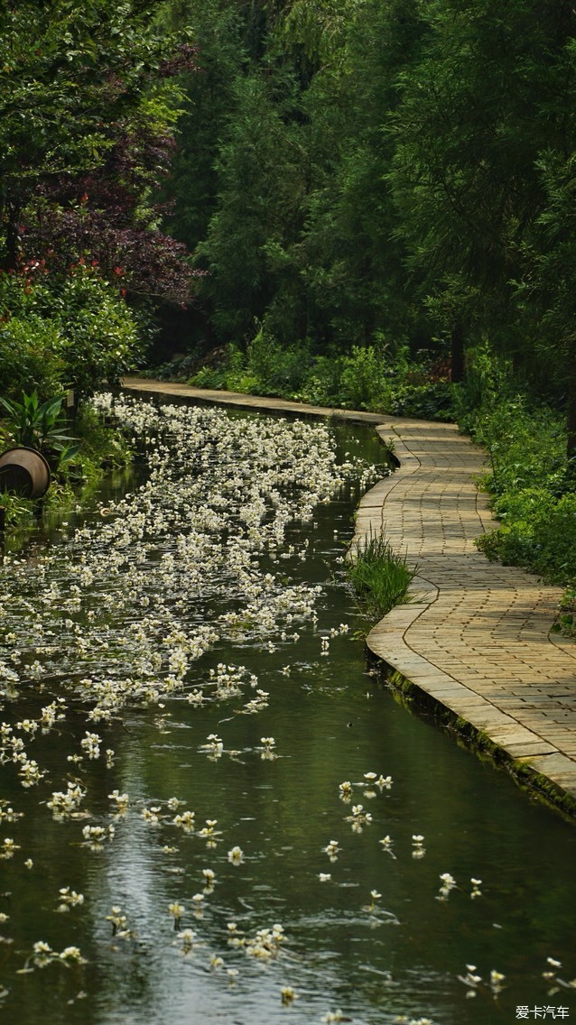 白邑丰泽园植物园图片