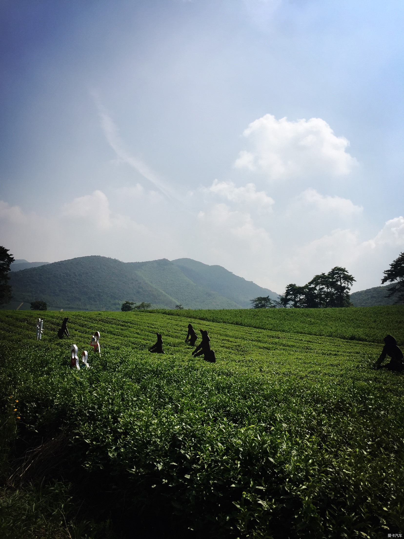 龍池山自行車公園