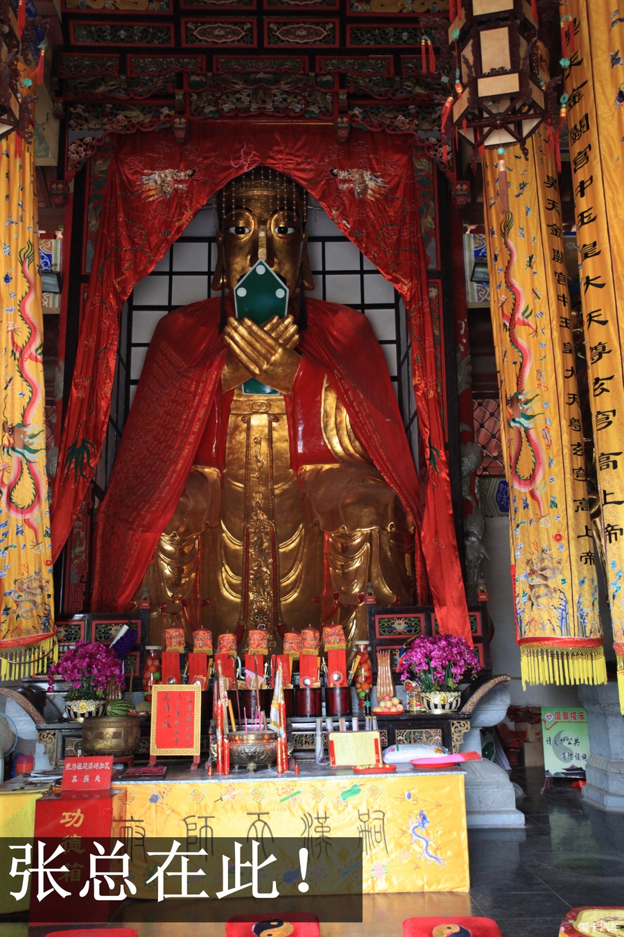 5月8日桐乡市组织龙虎山、三清山三日游三清山一日