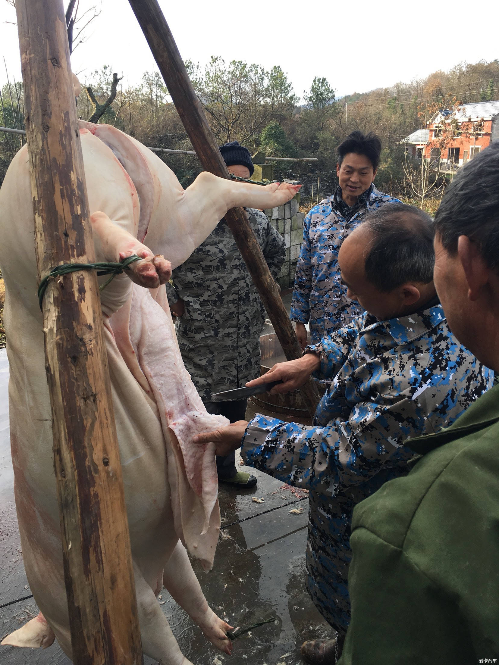 杀猪宰羊图图片