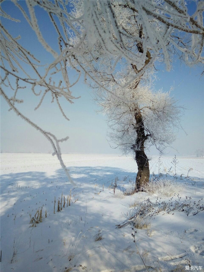 青春在路上我的冰雪梦境