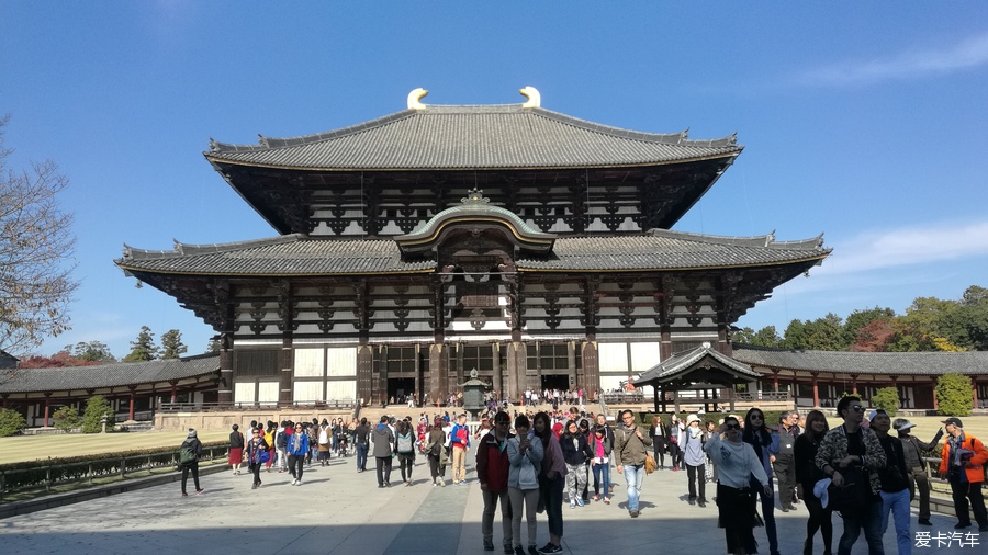 東大寺大佛殿,正面寬度57米,深50米,為世界最大的木造建築.