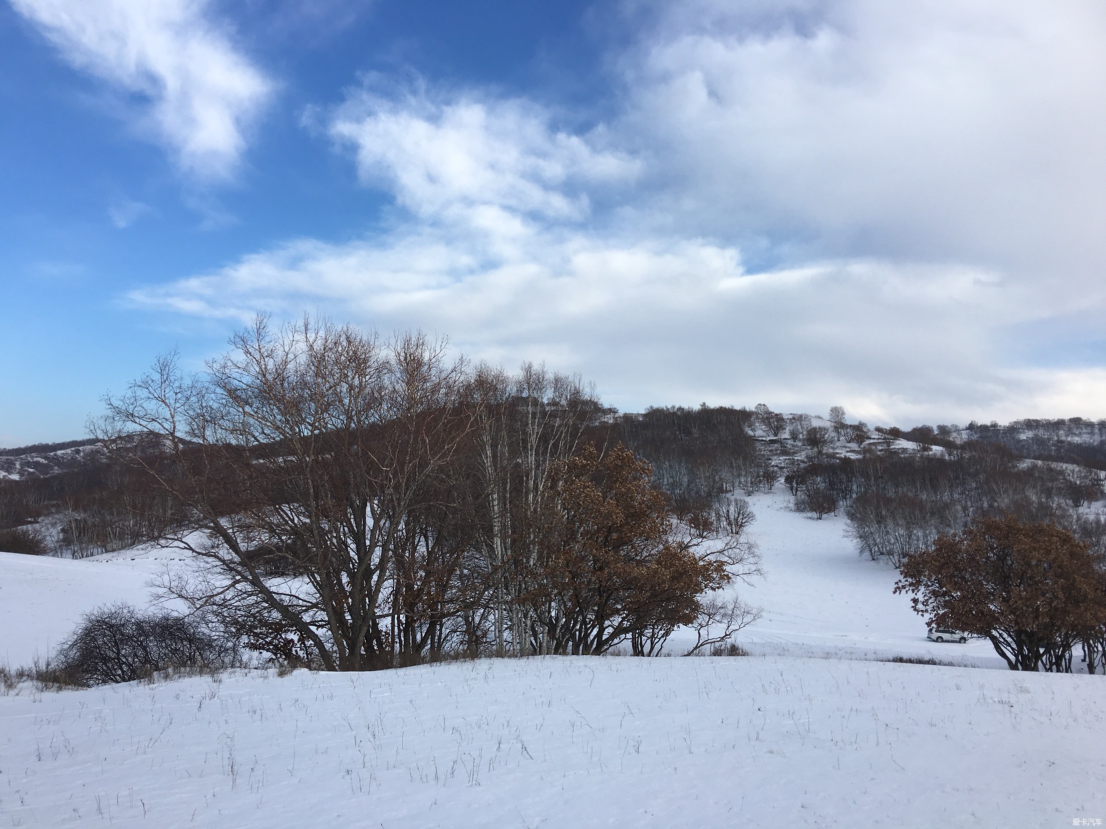 千野草场雪景图片