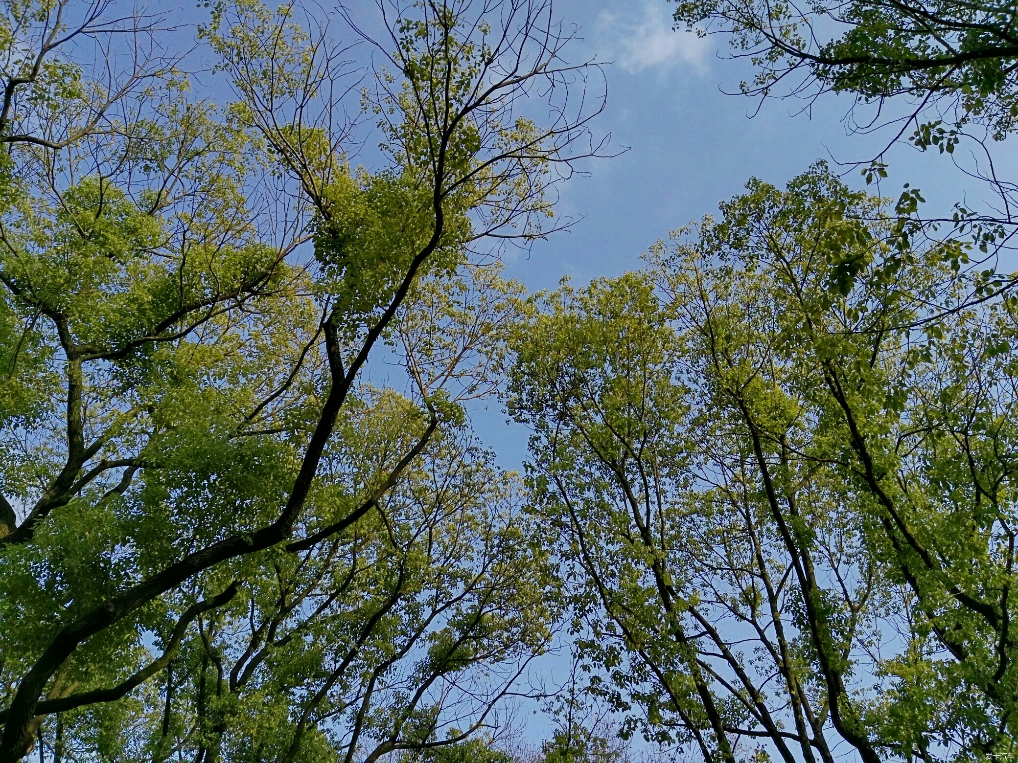 元旦天氣不錯,風和日麗.