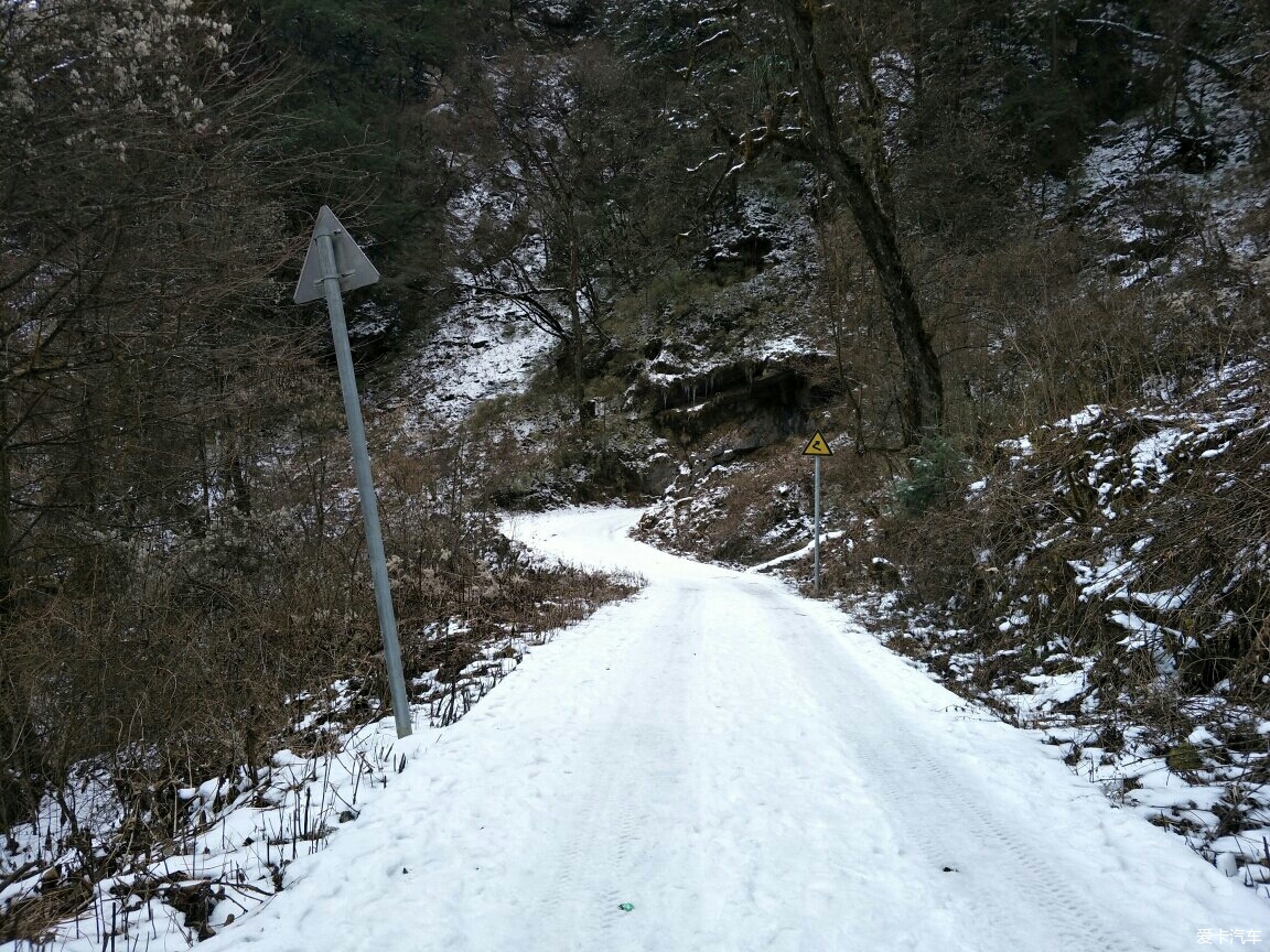 蘆山縣大川鎮南天門原始森林