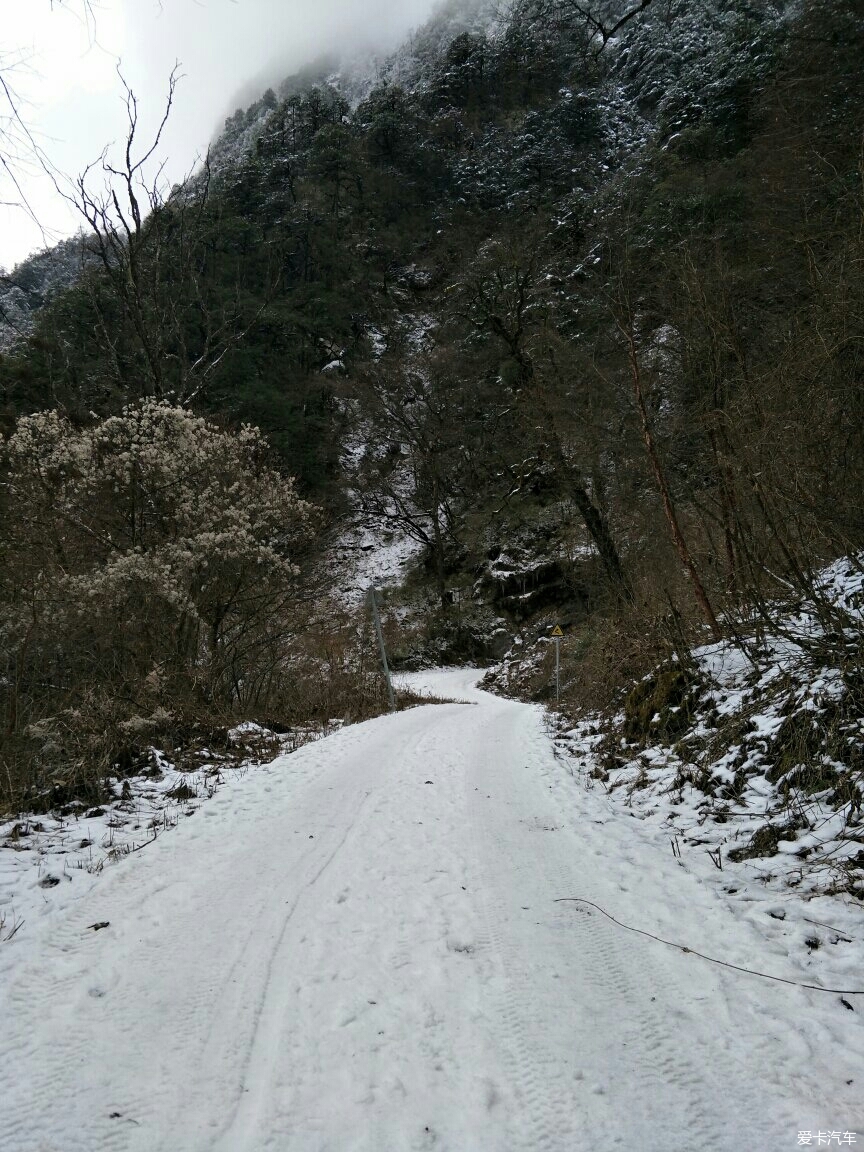 > 蘆山縣大川鎮南天門原始森林