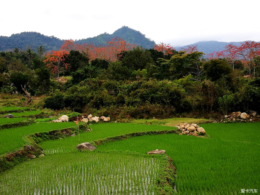 昌江宝山梯田图片