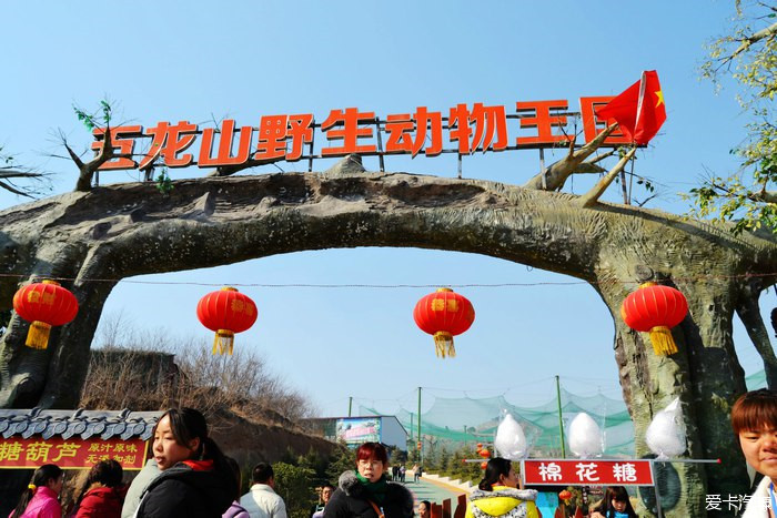 春雷行動自駕五龍山動物園