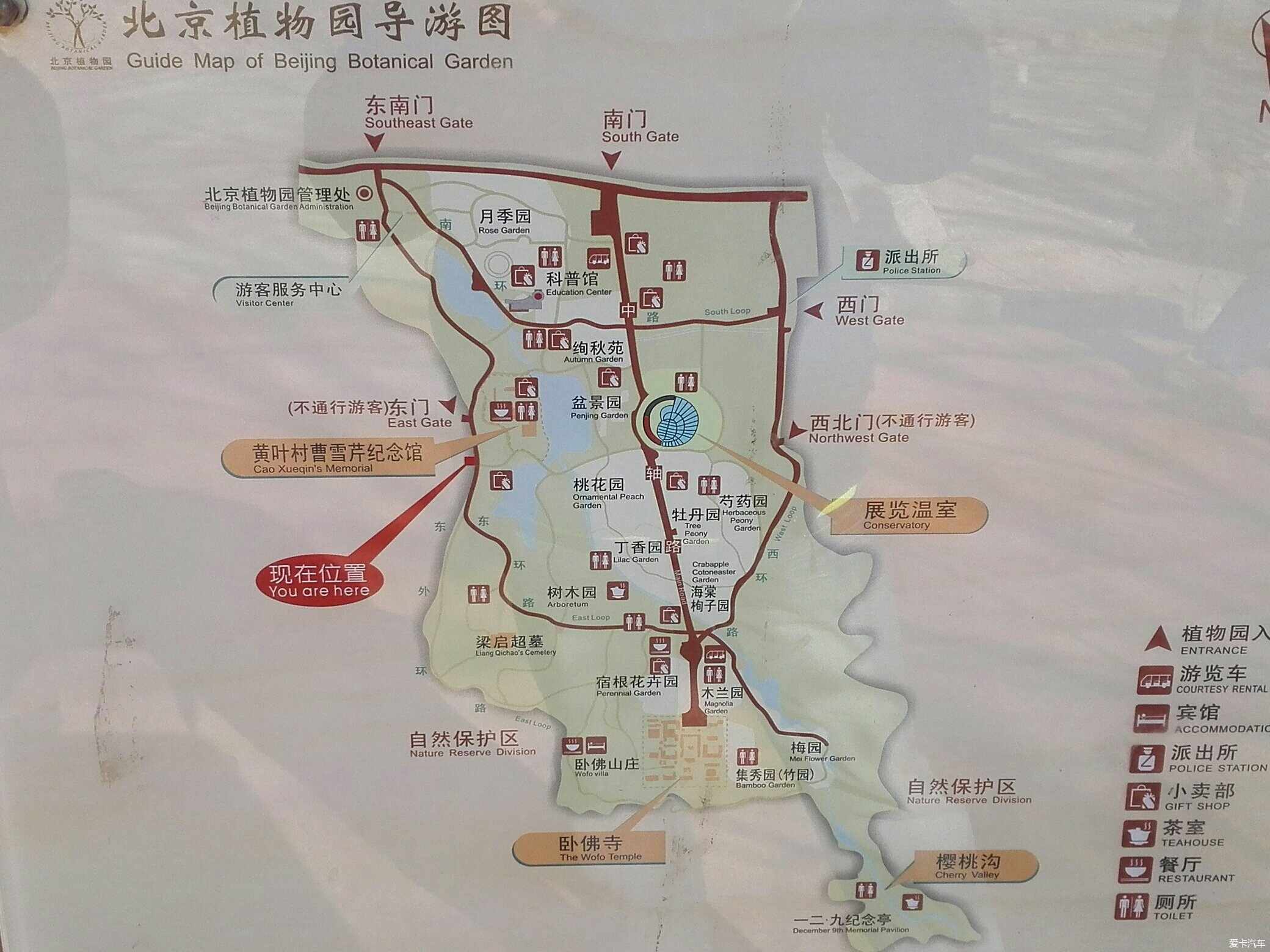 北京植物园旅游攻略图片