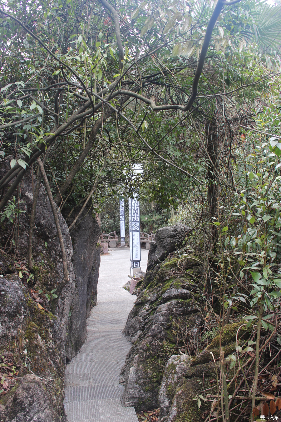 鹤峰八峰森林公园图片