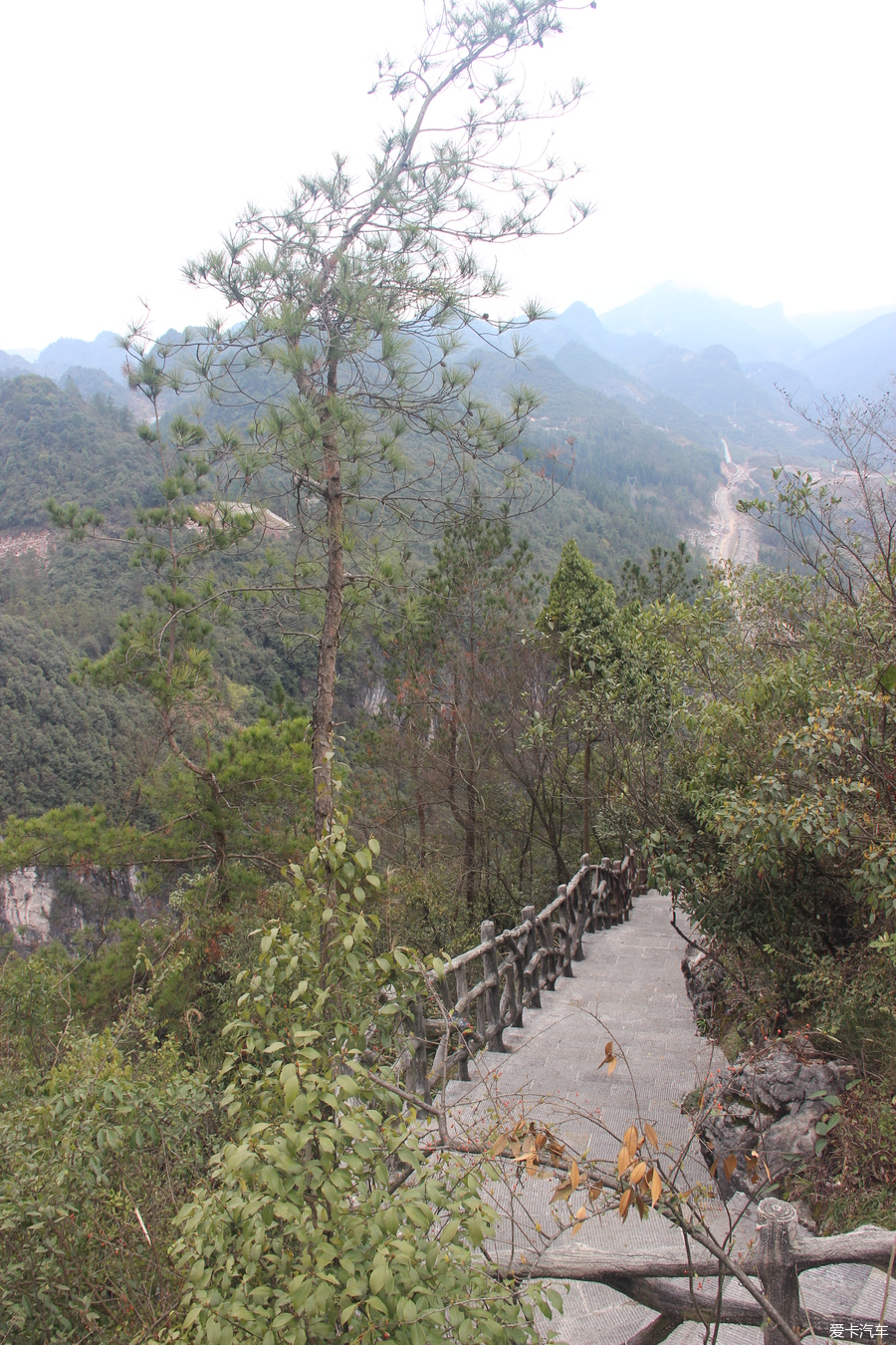 鹤峰八峰森林公园图片