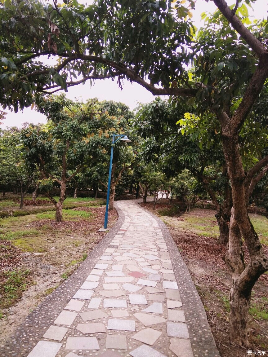 海珠區上湧果樹公園-愛卡汽車網論壇