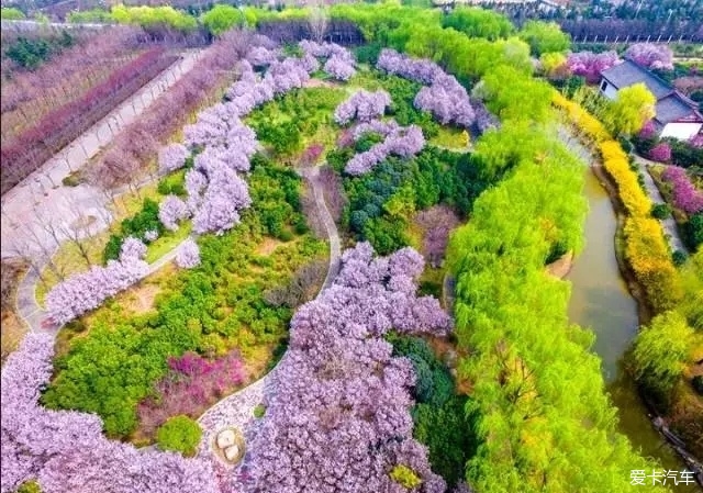 隋唐遺址植物園,在新區洛陽歡迎您!