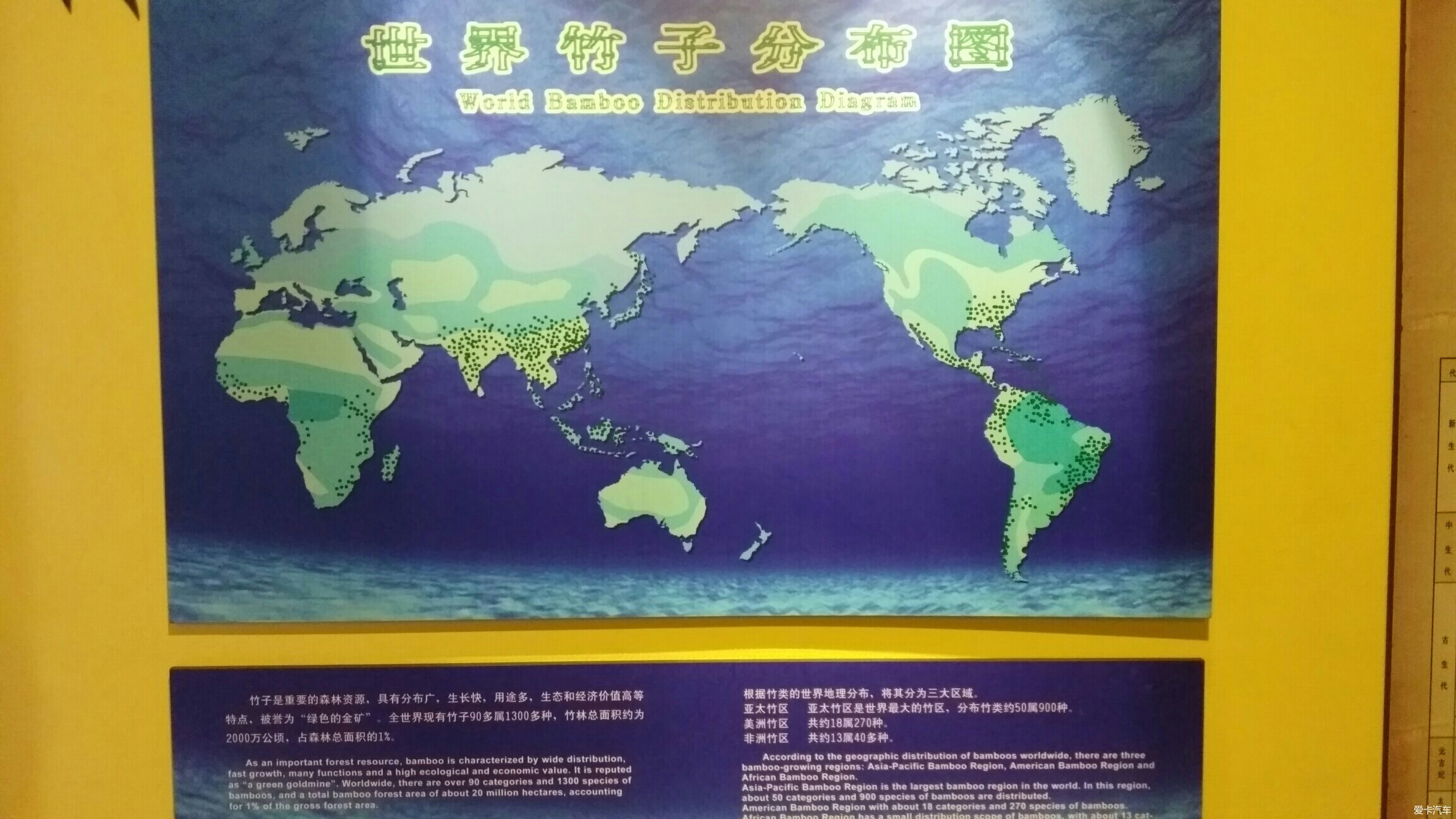 世界竹子分布图片