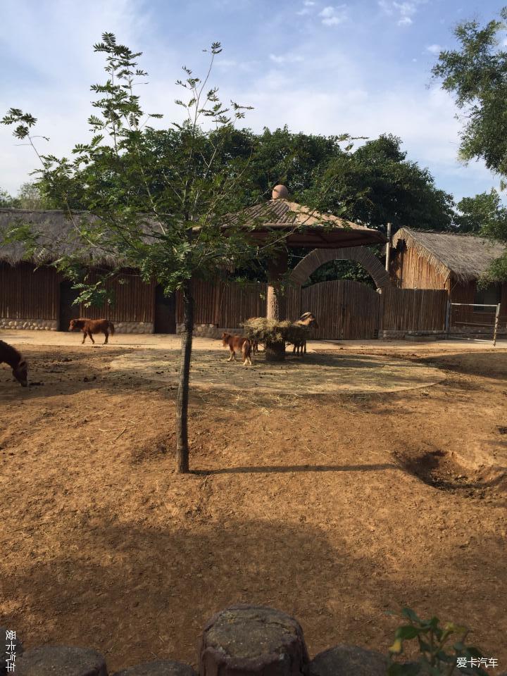 我是生活家#十一帶娃出遊鹿泉動物園--不辜負每一次相伴