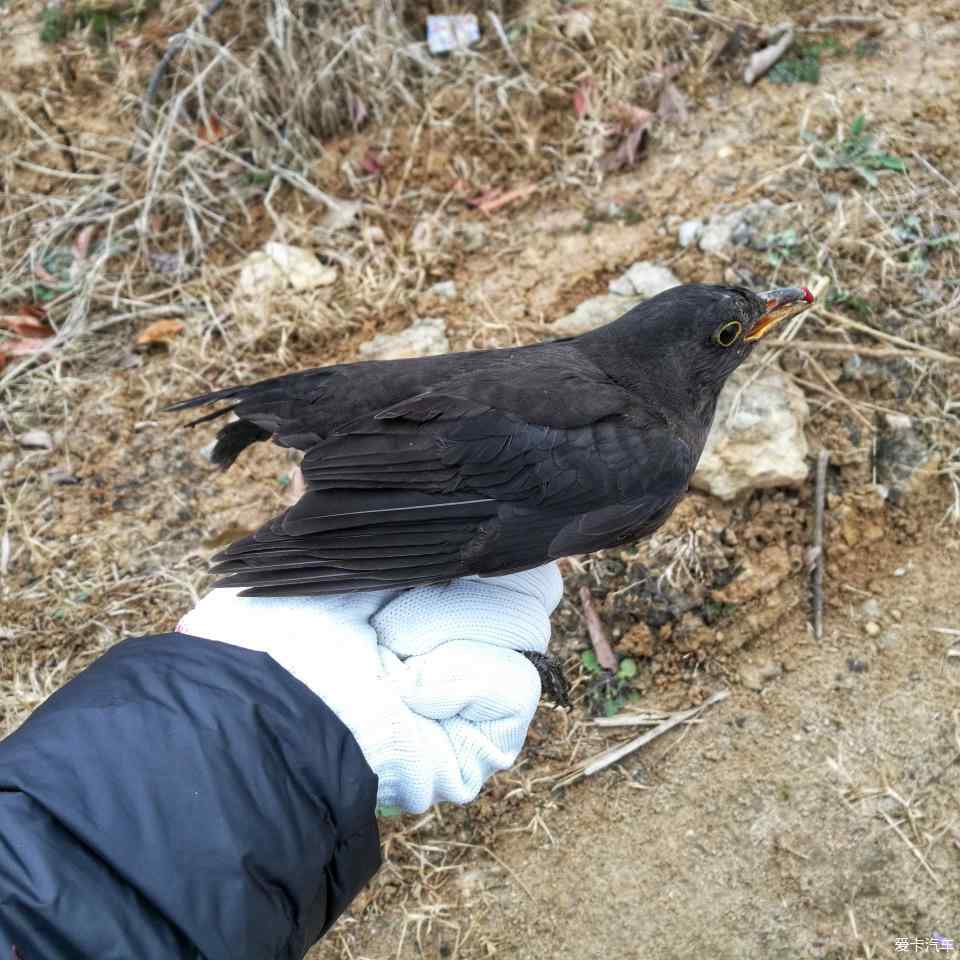 记回家的路.偶遇突发事件