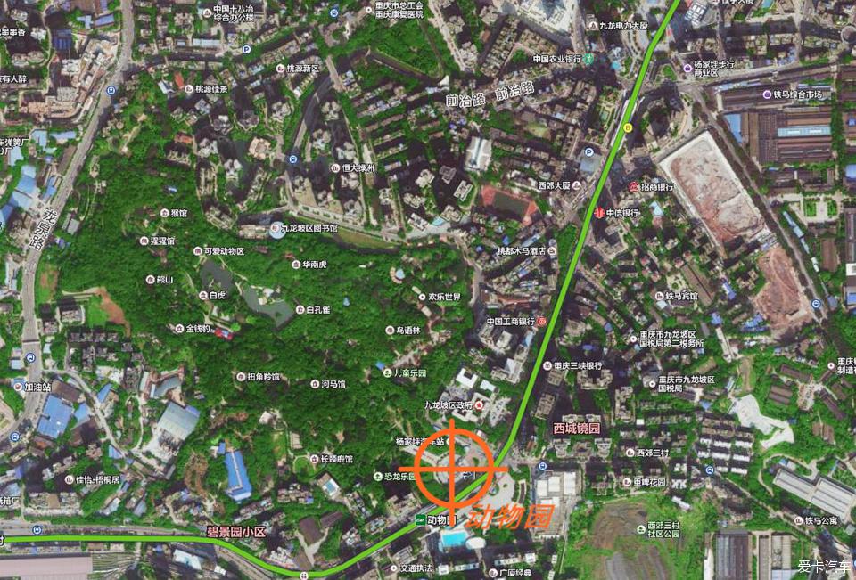 重庆动物园的卫星地图
