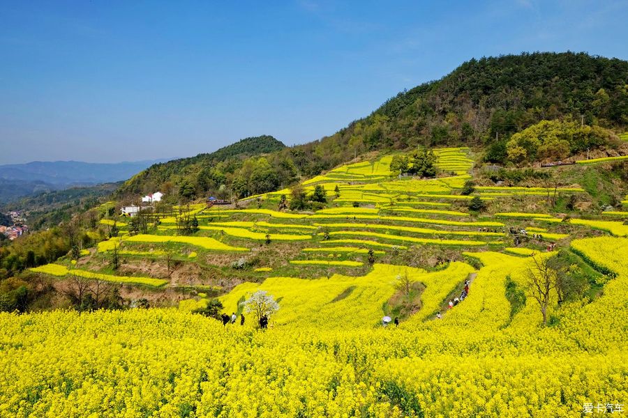 浦江县踏青民生村罗源村前吴村图片游记