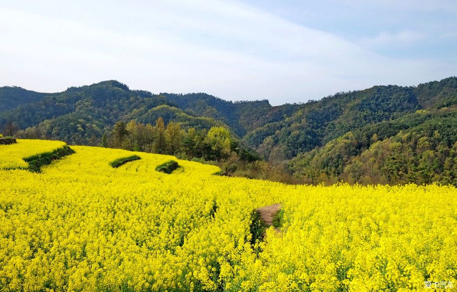 浦江县踏青民生村罗源村前吴村图片游记