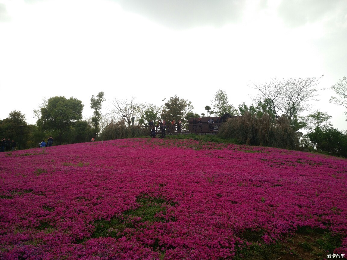 龙灵山生态公园