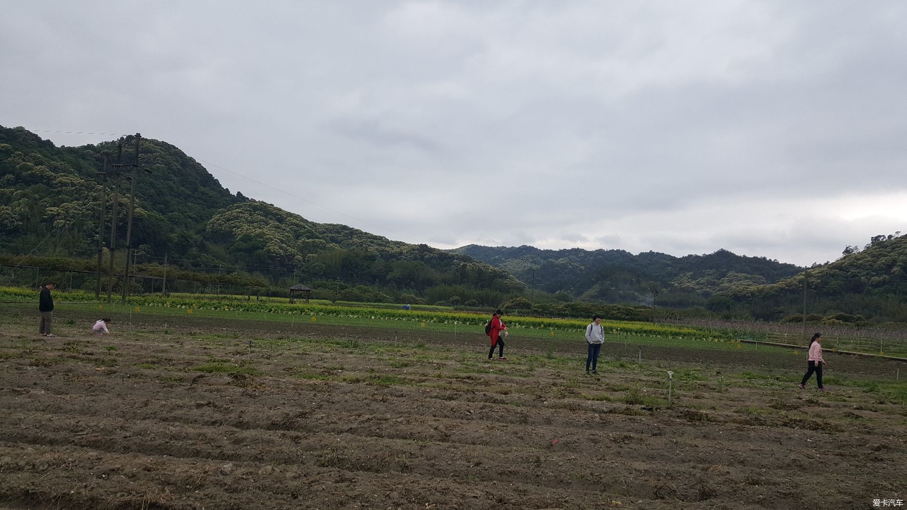 這樣的田間地頭太接地氣了