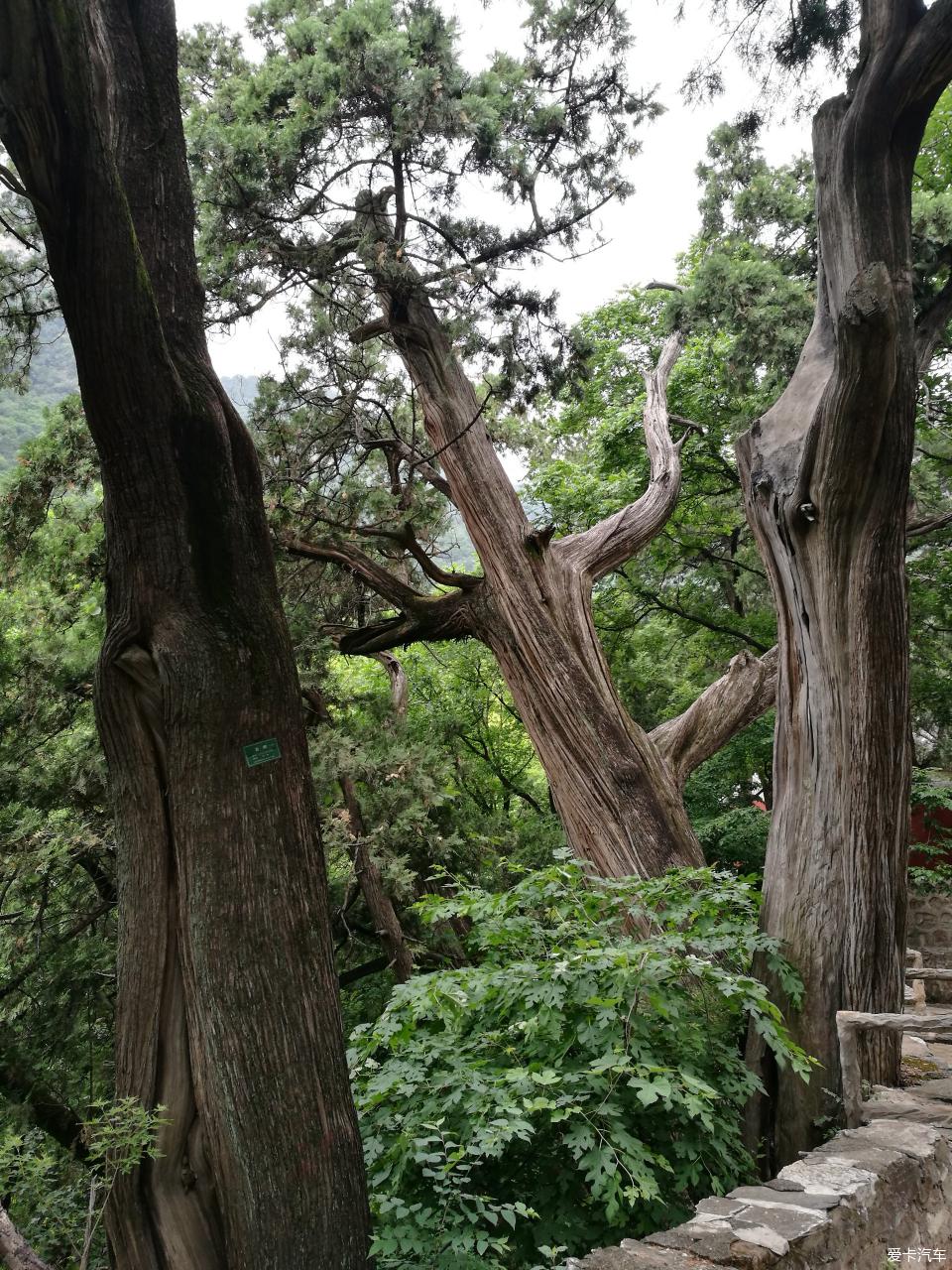 登上方山訪兜率寺拜肉身真佛