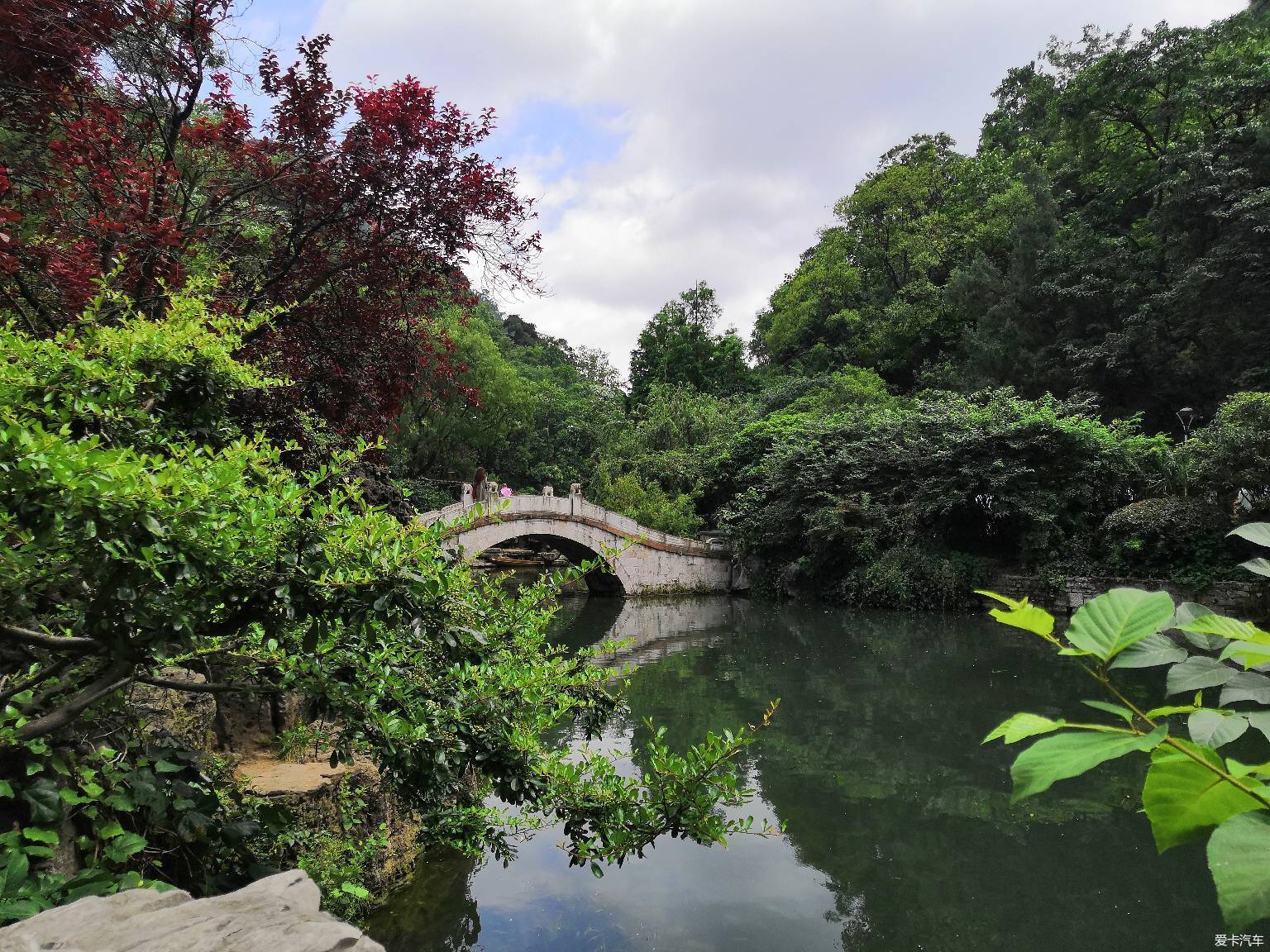 黔靈山公園的猴子