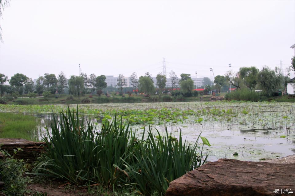 召喚招財貓雨後遊西漳公園享受清晰中的美景