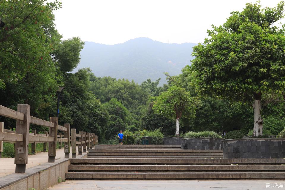 【召喚招財貓】登惠山森林公園 聽松濤賞松林美景