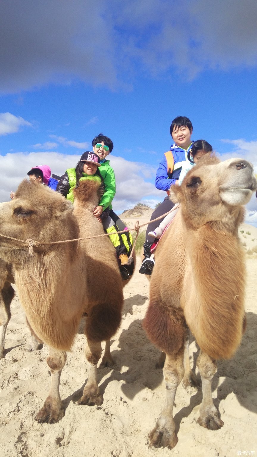 小孩骑骆驼图片