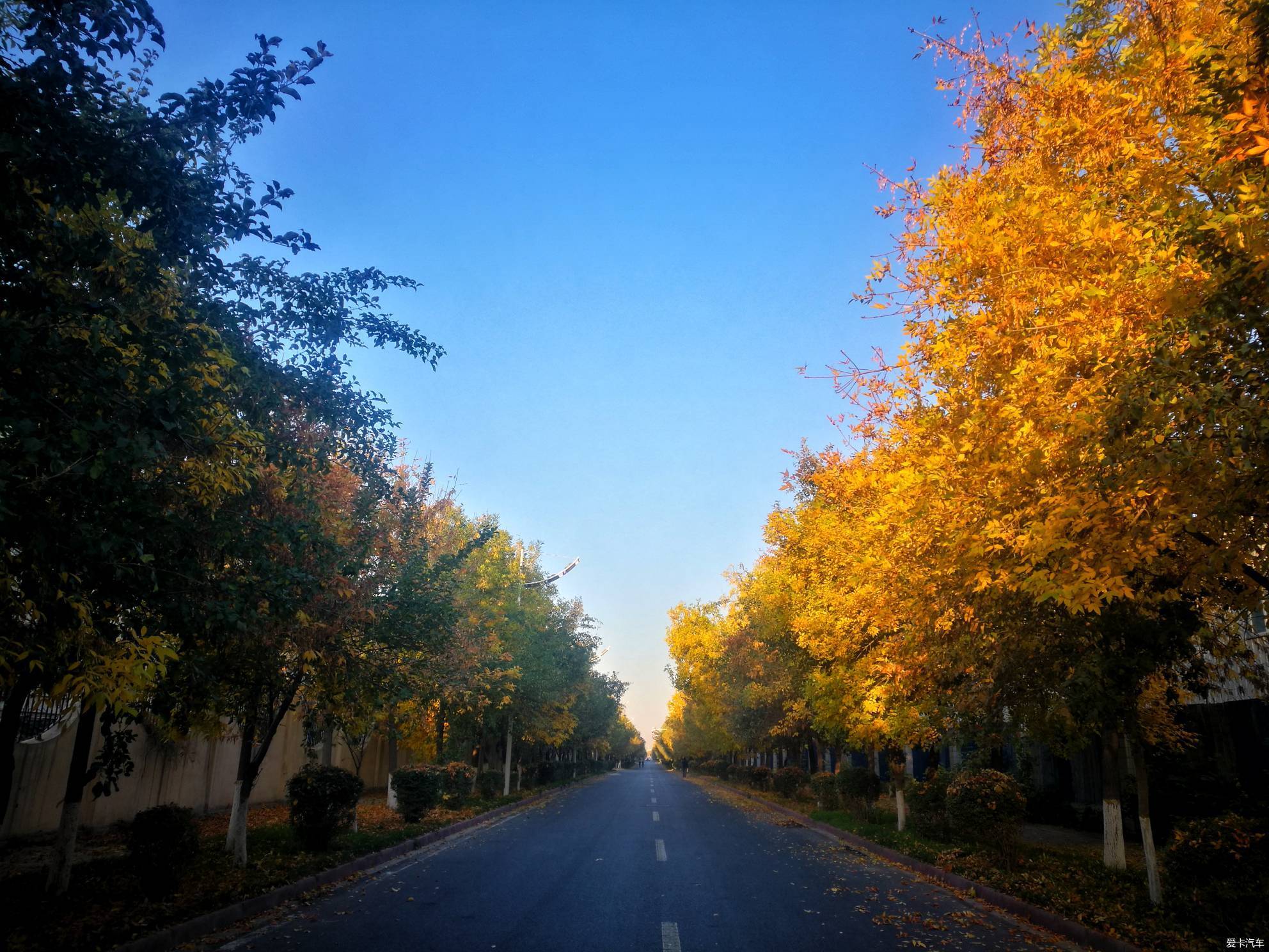 秋景街道图片