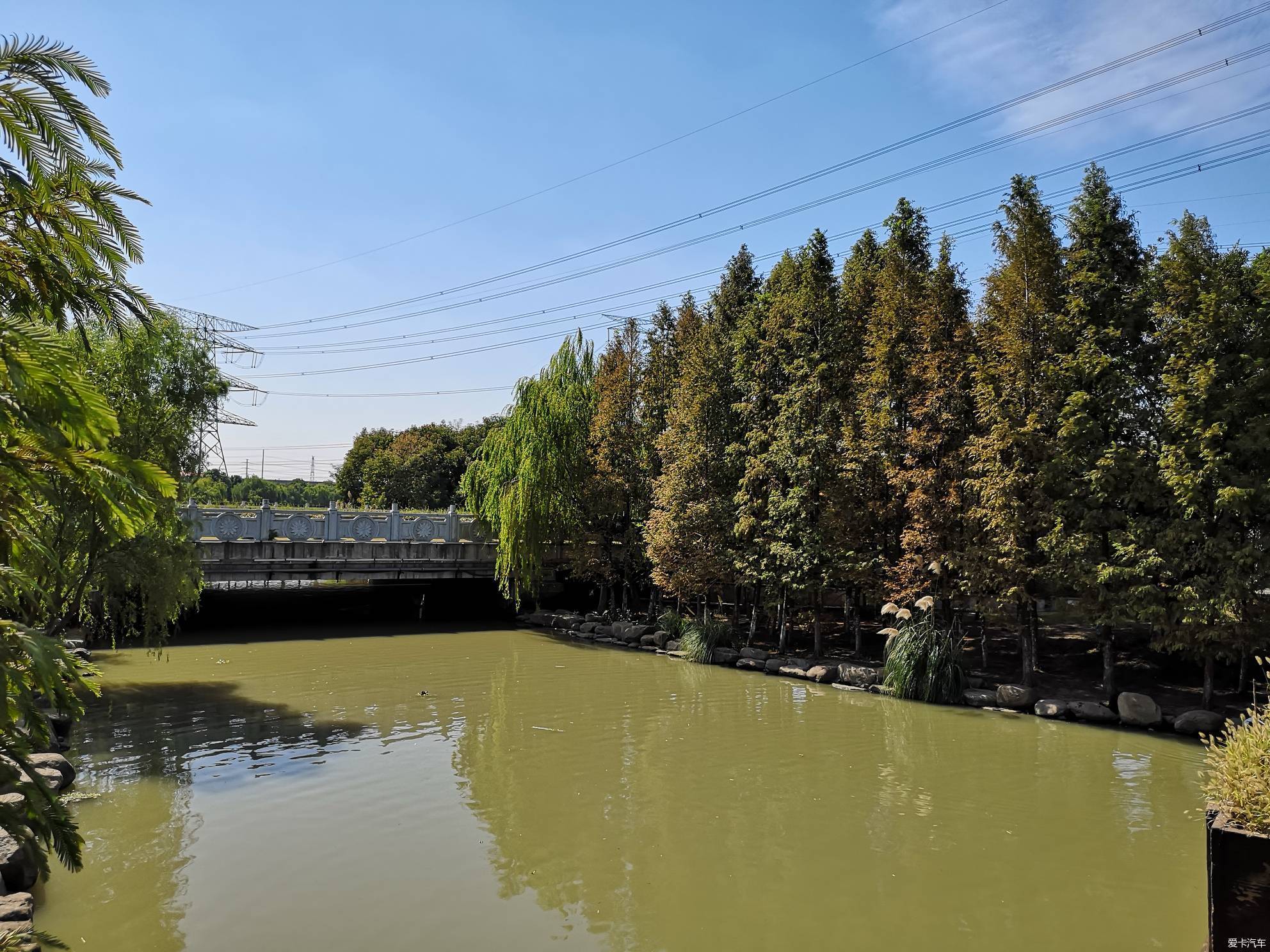 【召唤招财猫】九里河湿地公园游记