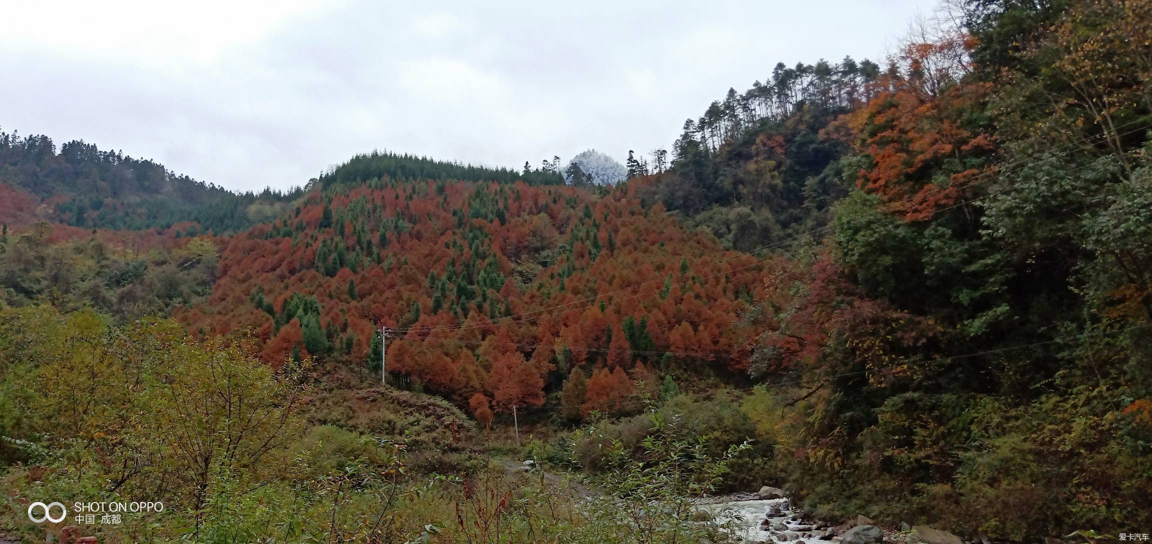 崇州鸡冠山红叶图片