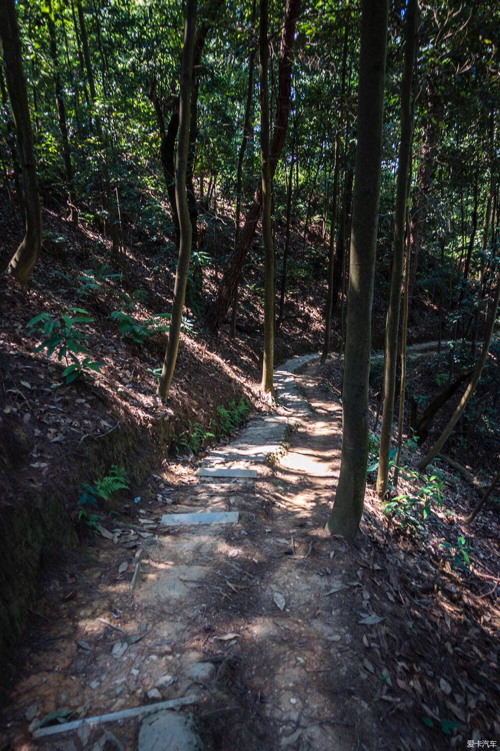 又双叒叕出去浪了这次是山野小路