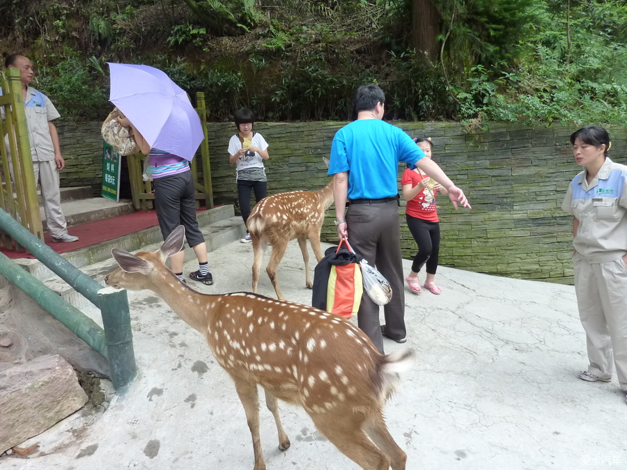 19開啟初遊碧峰峽野生動物園