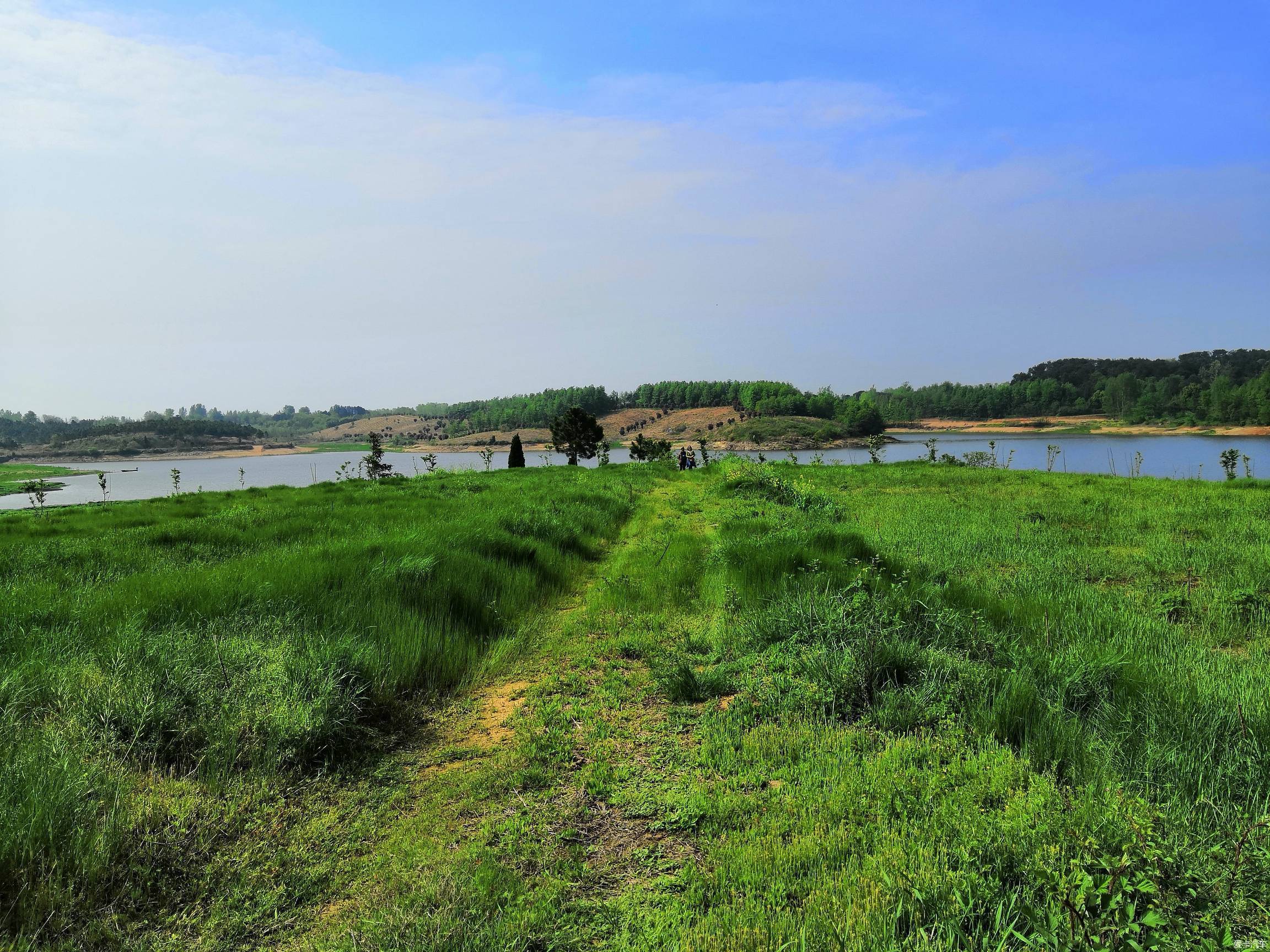 新洲鳳尾湖踏青野炊