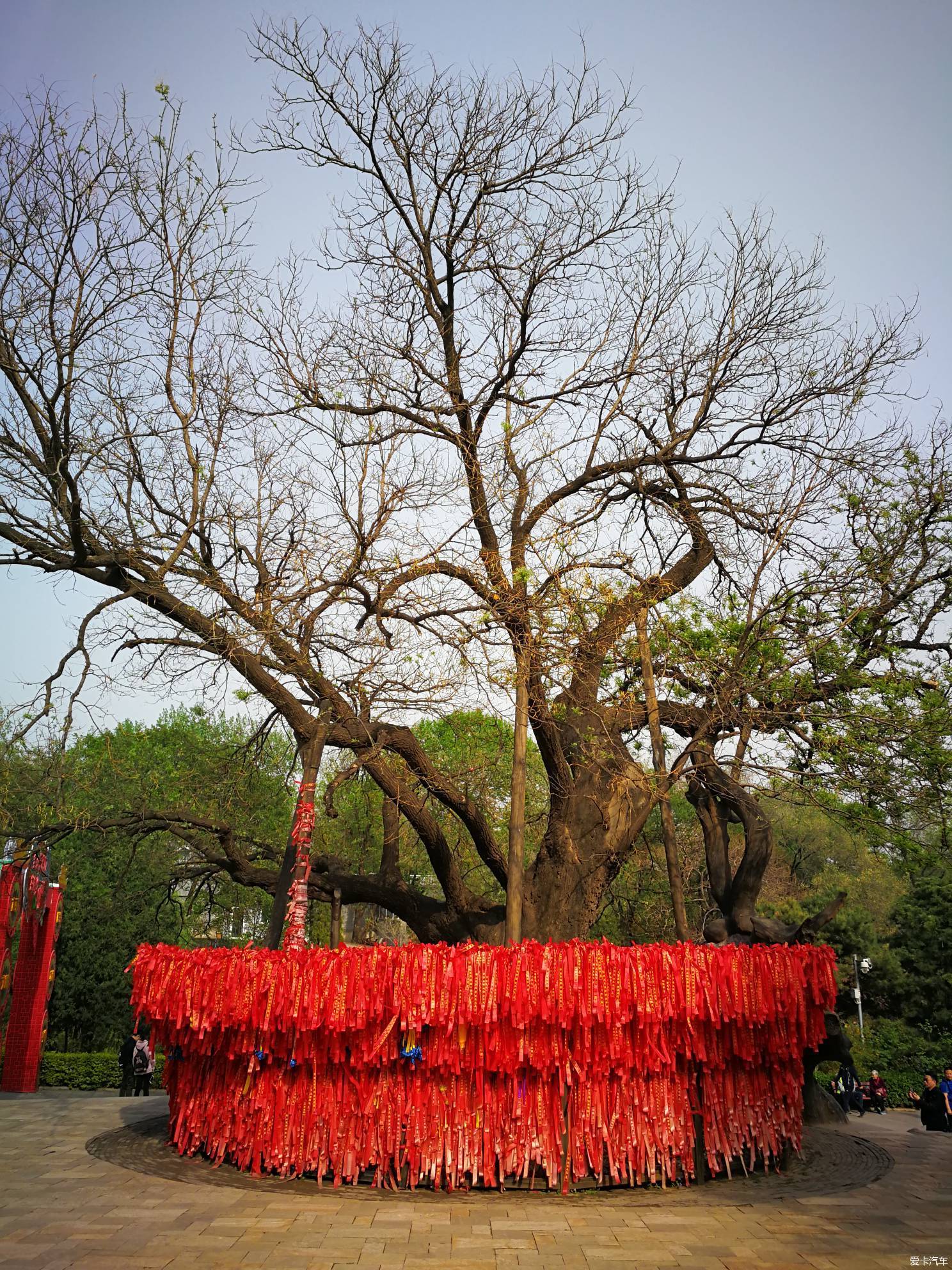 【图】【自由分享】北京八大处,佛系满情怀