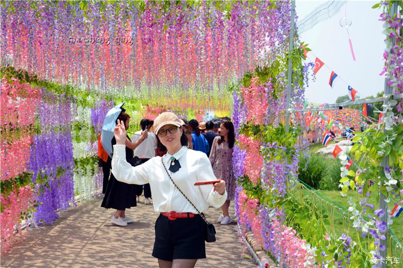 枝江東方年華花海