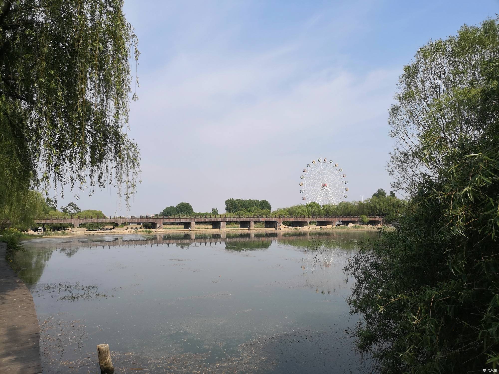 【油田自驾】2019年5月潍坊白浪绿洲湿地公园一游