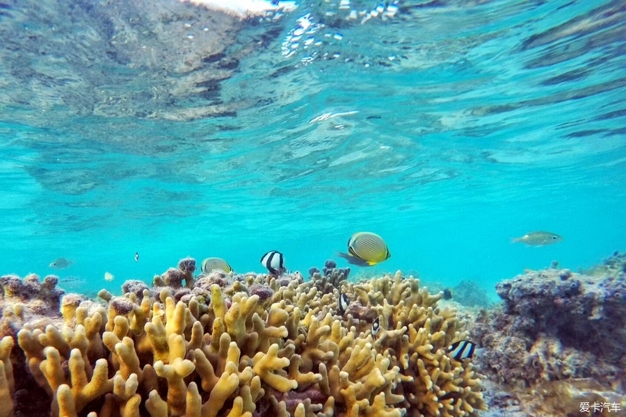 中國南方最美海島風景西沙群島