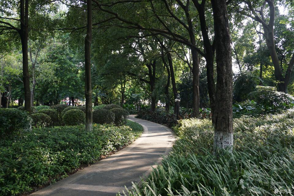 火辣辣的夏天駕雷凌遊黃埔公園