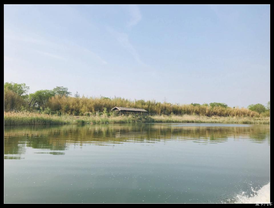 卤阳湖湿地公园图片